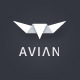 Thumbnail of Avian | Responsive Multi-Purpose Theme